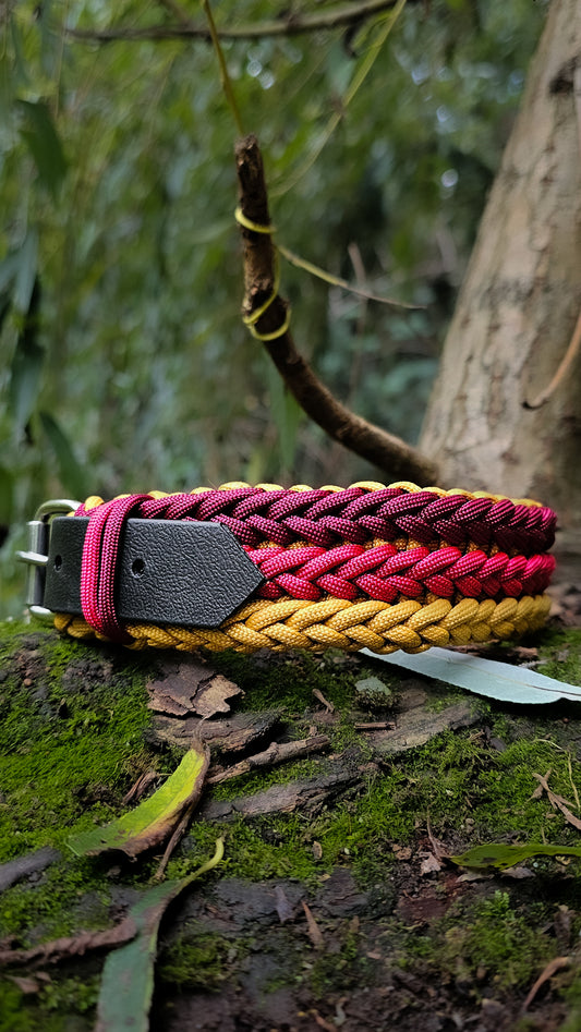 Paracordový obojek pro psa, obojek na míru, ručně pletený obojek pro střední i velké psy, elegantní obojek, praktický obojek, barevný paracordový obojek, nastavitelný obojek