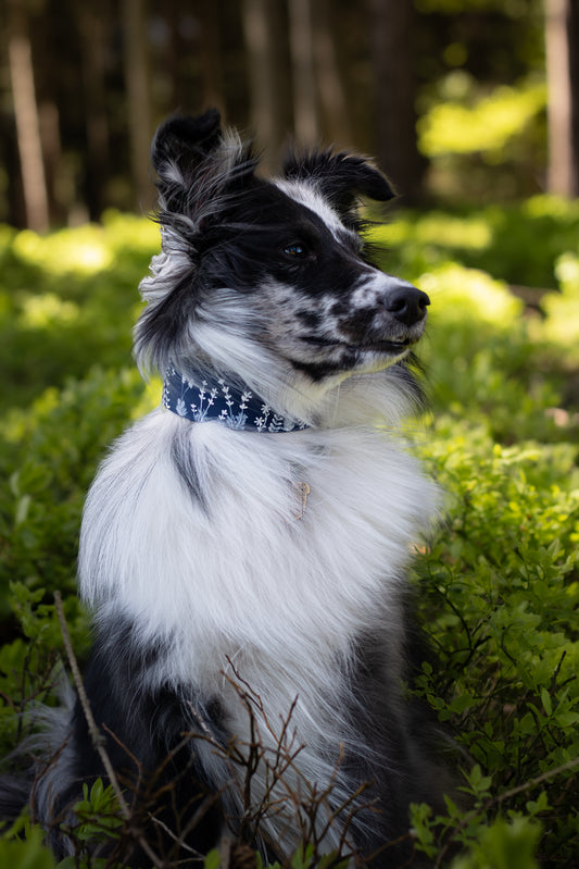 Ručně malovaný BioThane® obojek - 'White Meadow' 38mm
