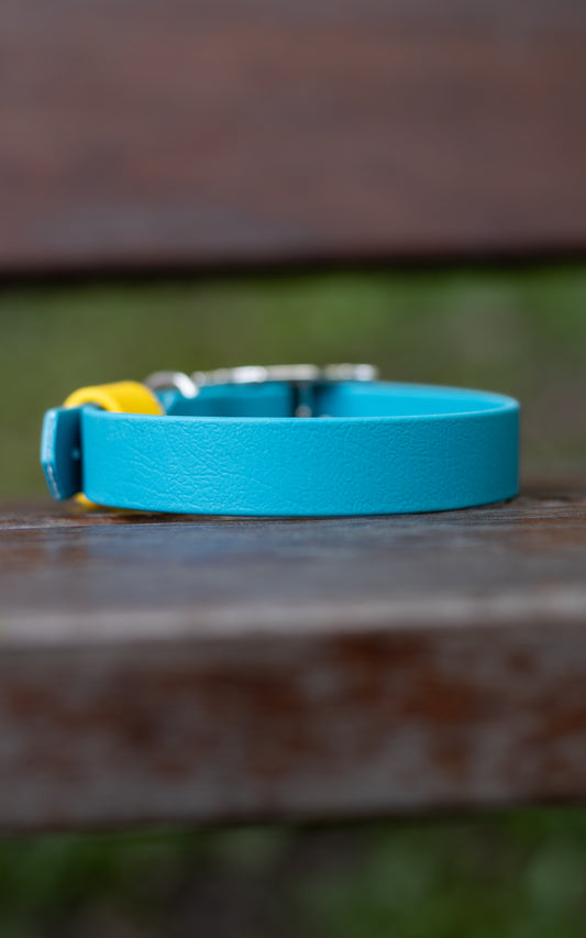 Biothane voděodolný obojek pro psa, obojek na míru, barevný biothane obojek
