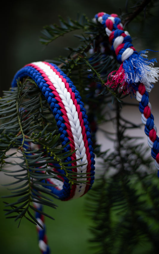 Reprezentační vodítko na míru ve vzoru 'Luna' v barvách české trikolóry