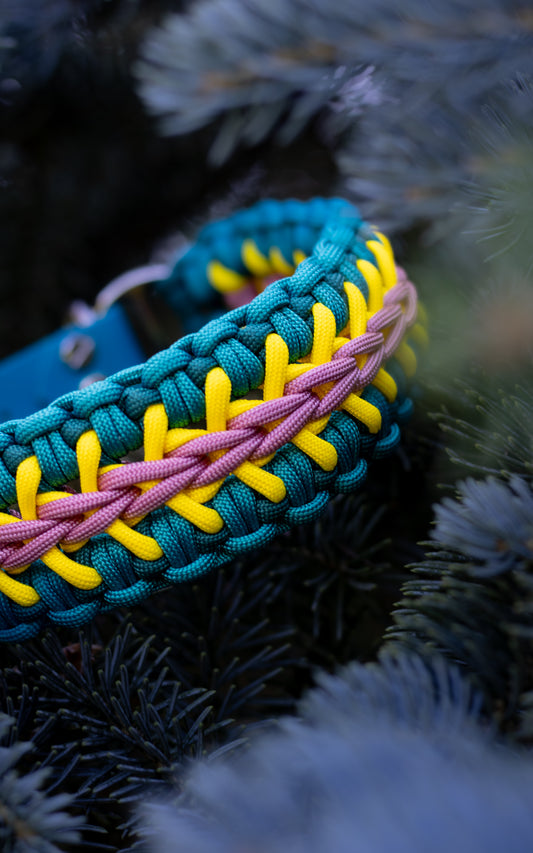 Veselý letně zbarvený ručně pletený paracordový obojek, kombinace modré, žluté a růžové barvy vhodný pro velkého psa