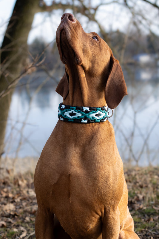 Ručně pletený modrý paracordový obojek na míru pro psa – ideální pro plemena jako maďarský ohař (vizsla)