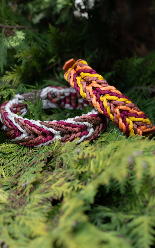 Paracordový obojek pro psa, obojek na míru, ručně pletený obojek pro střední i velké psy, elegantní obojek, praktický obojek, podzimní paracordový obojek