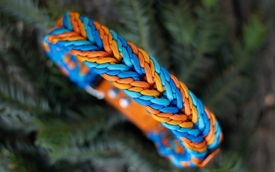 Paracord, lano nebo BioThane? Jaký materiál obojku a vodítka mám pro svého psa vybrat?