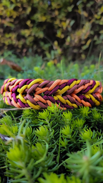 Paracordový obojek pro psa, obojek na míru, ručně pletený obojek pro střední i velké psy, elegantní obojek, praktický obojek, podzimní paracordový obojek