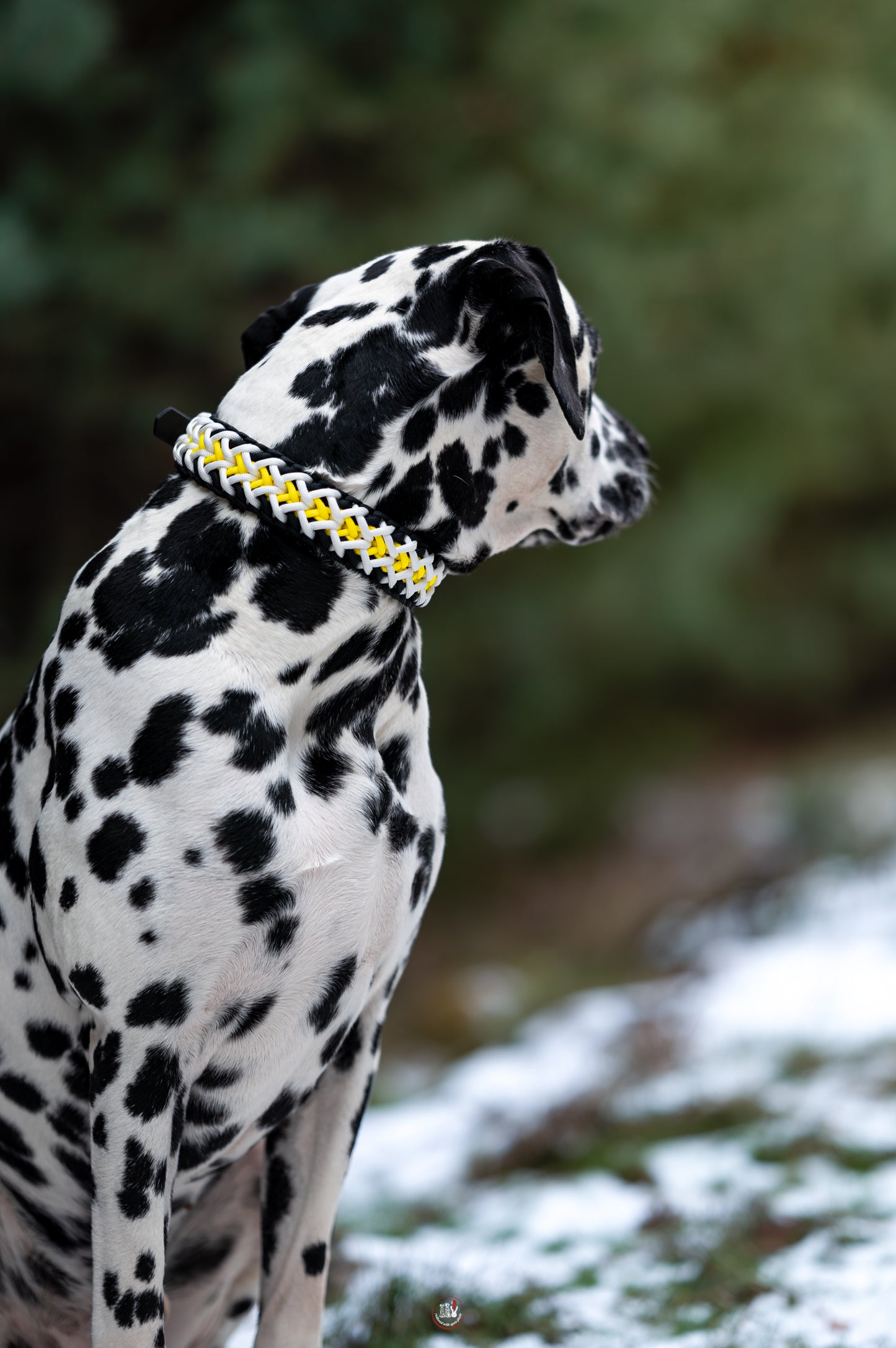 Nastavitelný paracordový obojek ve vzoru 'Crisscross' s BioThane popruhem