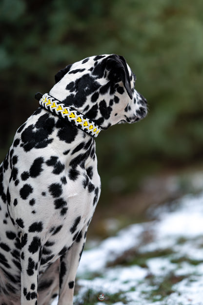 Nastavitelný paracordový obojek ve vzoru 'Crisscross' s BioThane popruhem