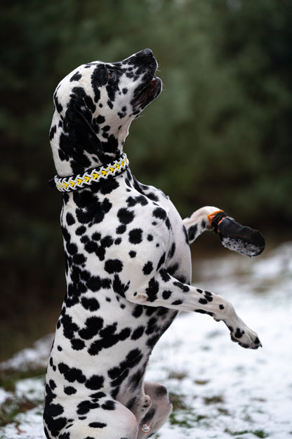 Nastavitelný paracordový obojek ve vzoru 'Crisscross' s BioThane popruhem