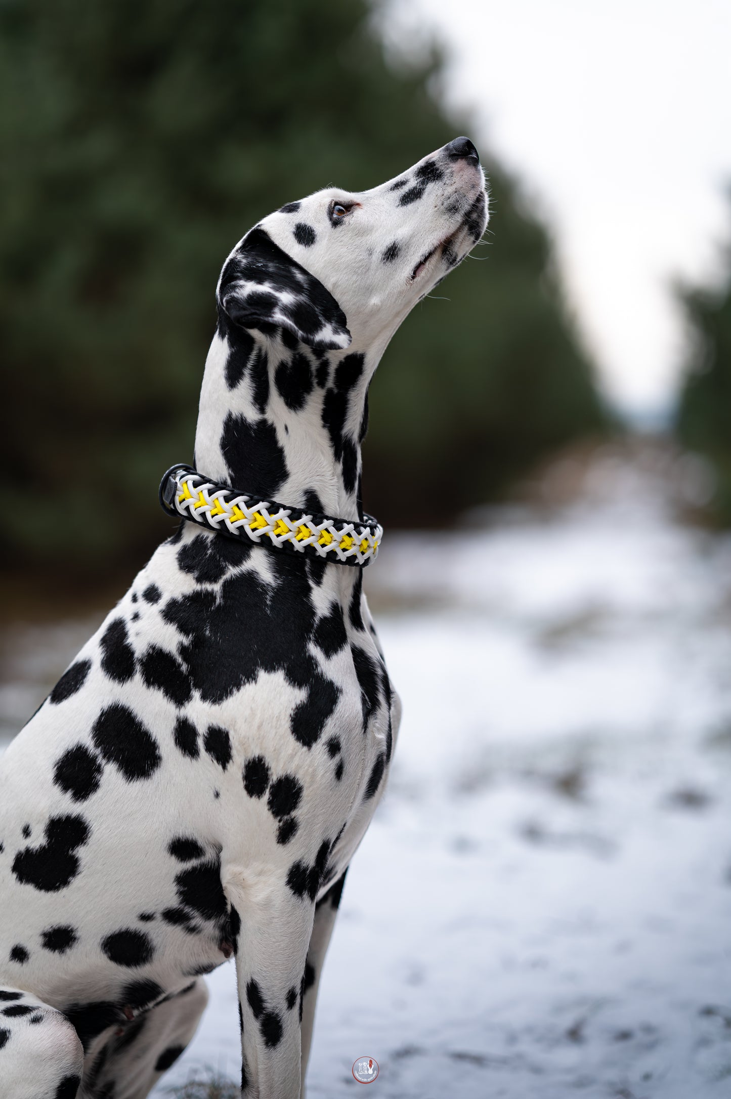 Nastavitelný paracordový obojek ve vzoru 'Crisscross' s BioThane popruhem