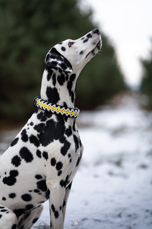 Nastavitelný paracordový obojek ve vzoru 'Crisscross' s BioThane popruhem