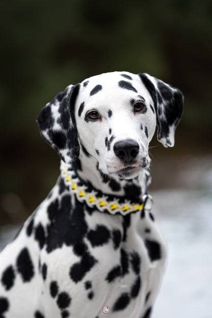 Nastavitelný paracordový obojek ve vzoru 'Crisscross' s BioThane popruhem