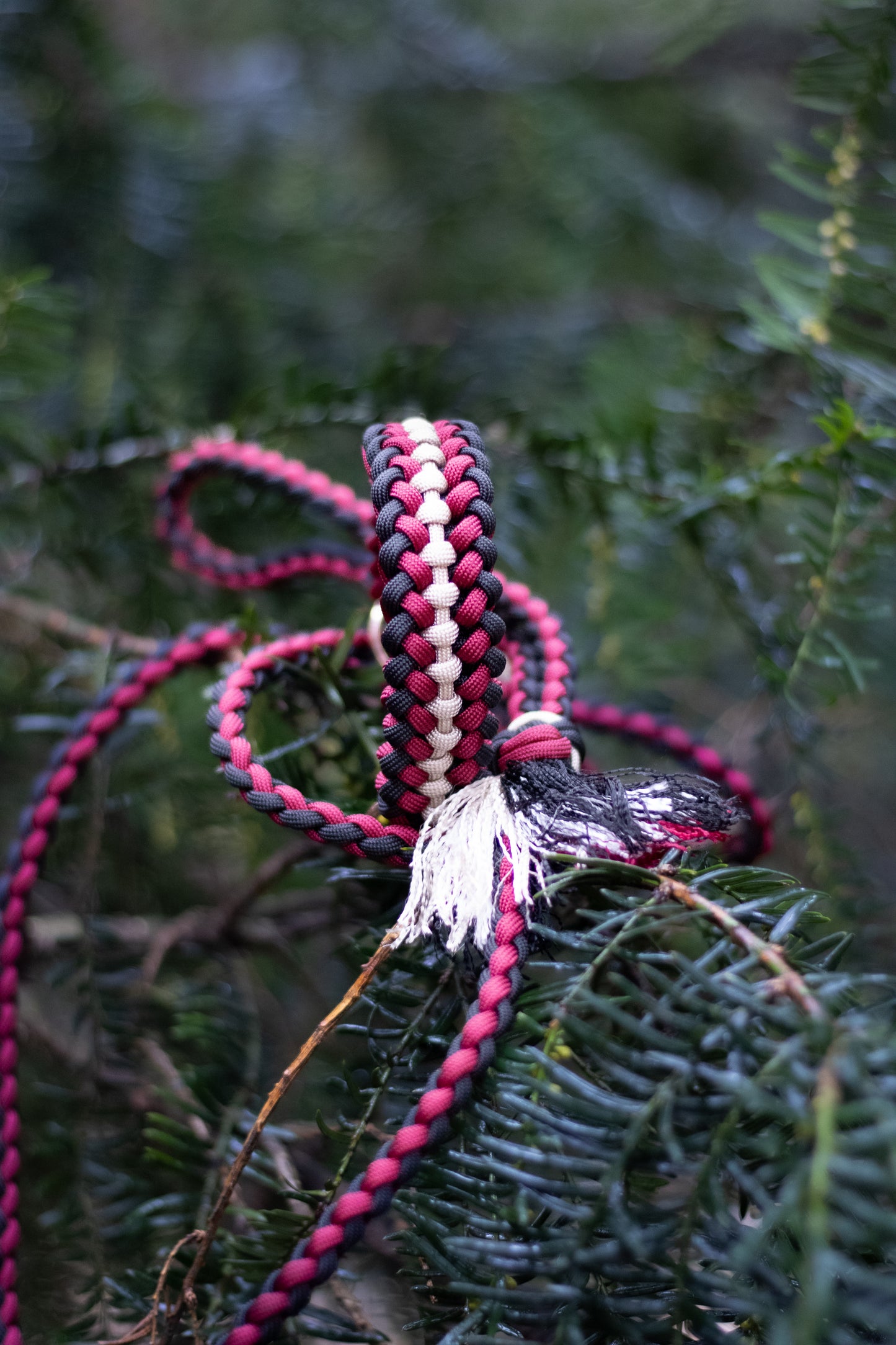 Paracordový obojek na míru ve vzoru 'Covenant'