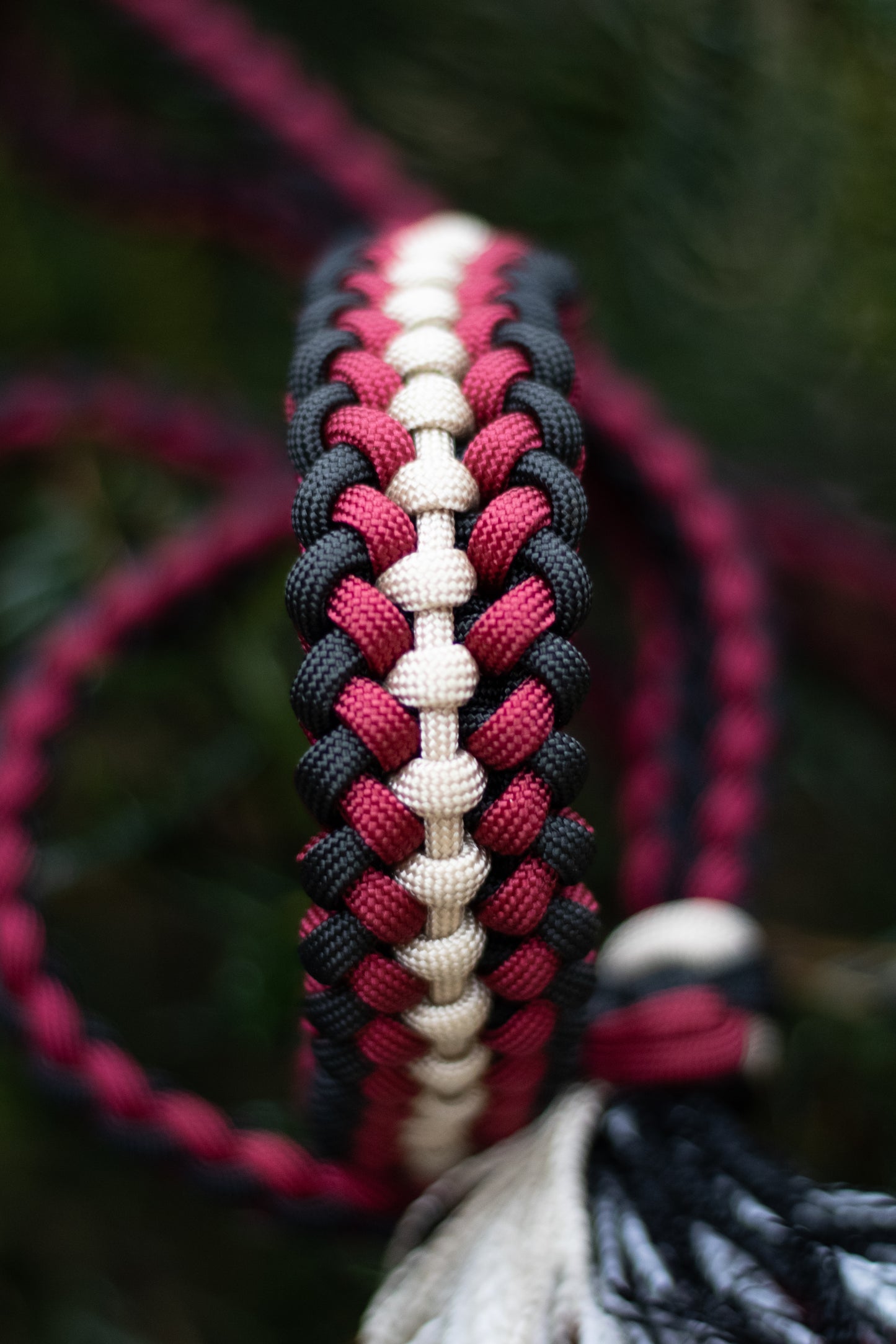 Paracordový obojek na míru ve vzoru 'Covenant'