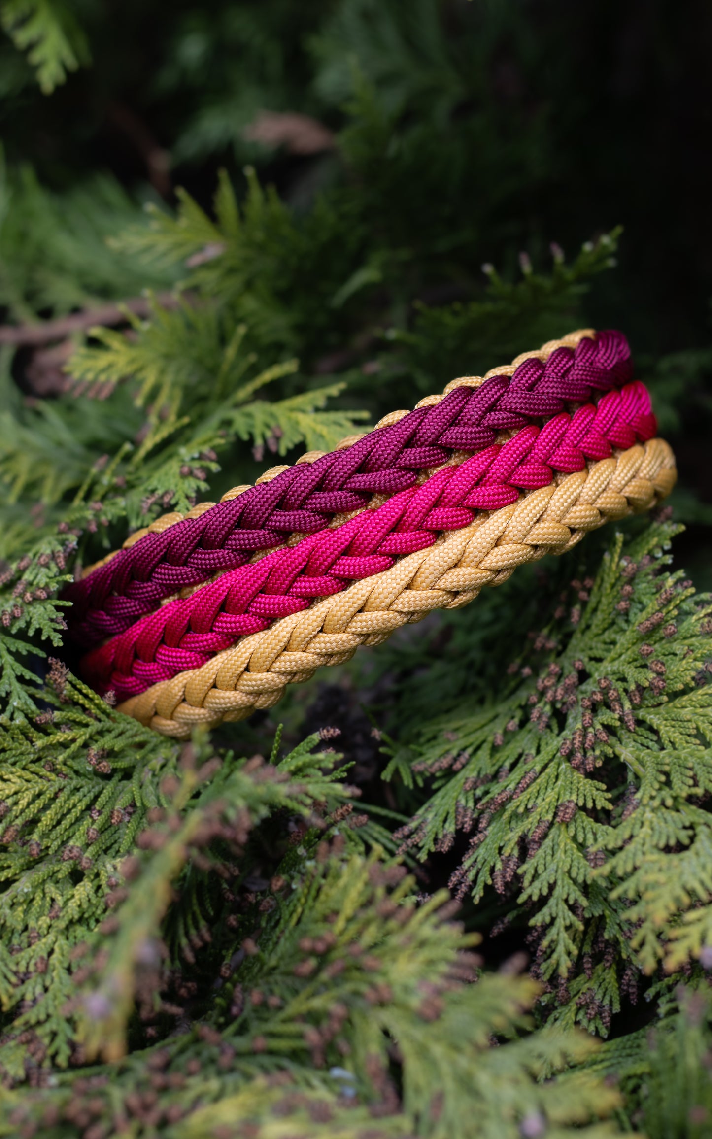 Paracordový obojek na míru ve vzoru 'Sunrise 🌅'