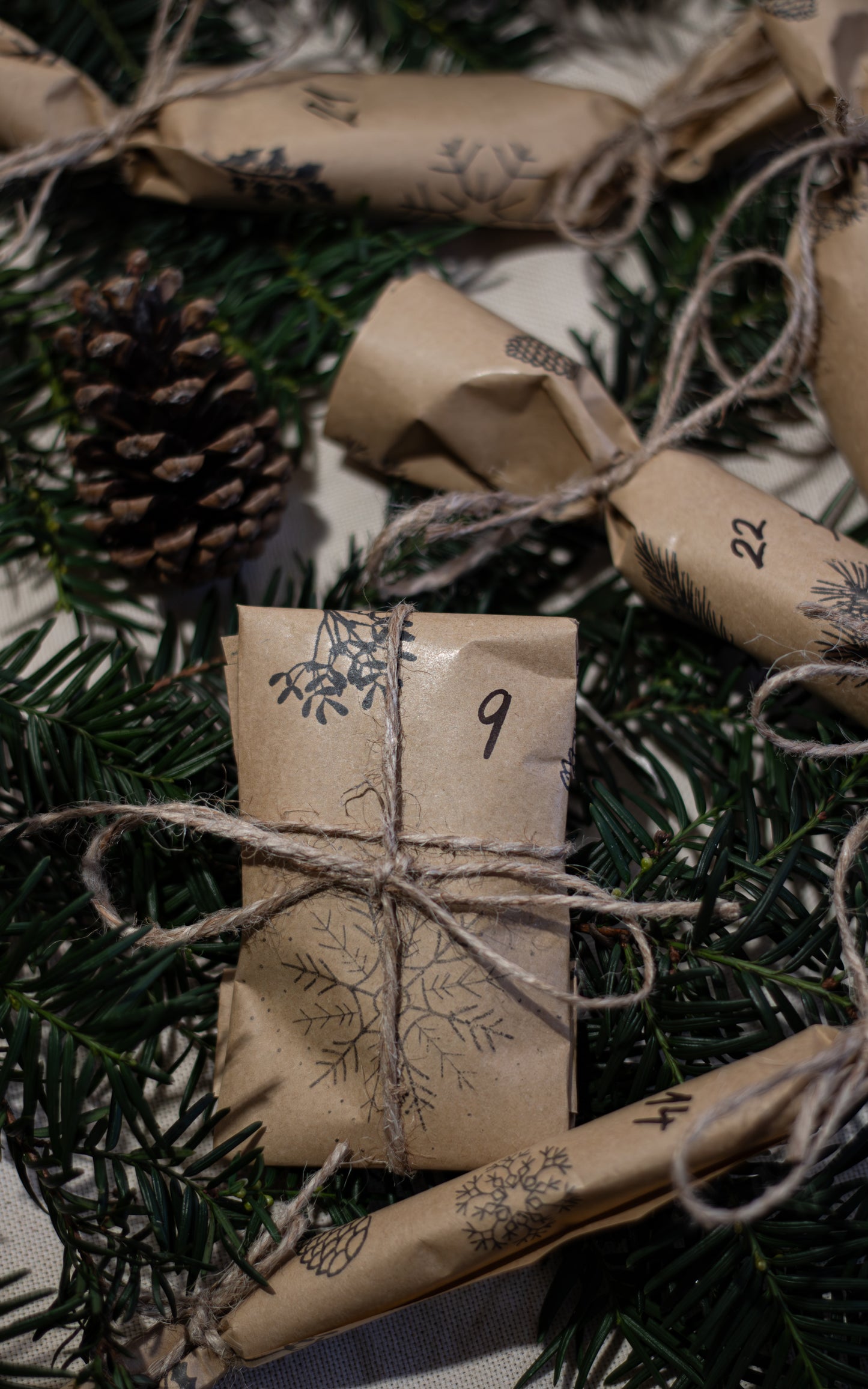 Adventní kalendář pro psy - PŘEDOBJEDNÁVKA