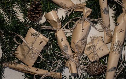 Adventní kalendář pro psy - PŘEDOBJEDNÁVKA