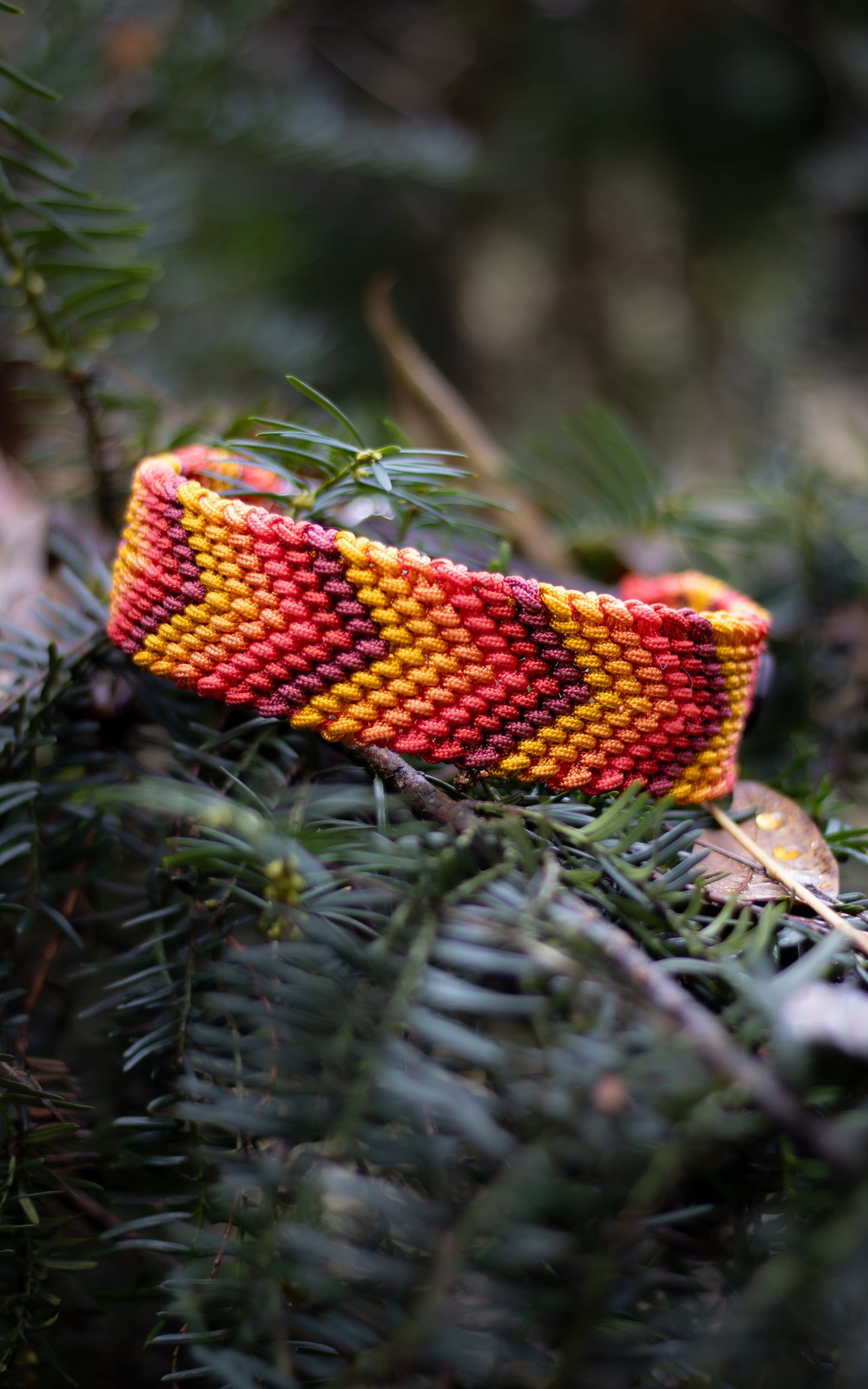 Nastavitelný paracordový obojek 'Alps'