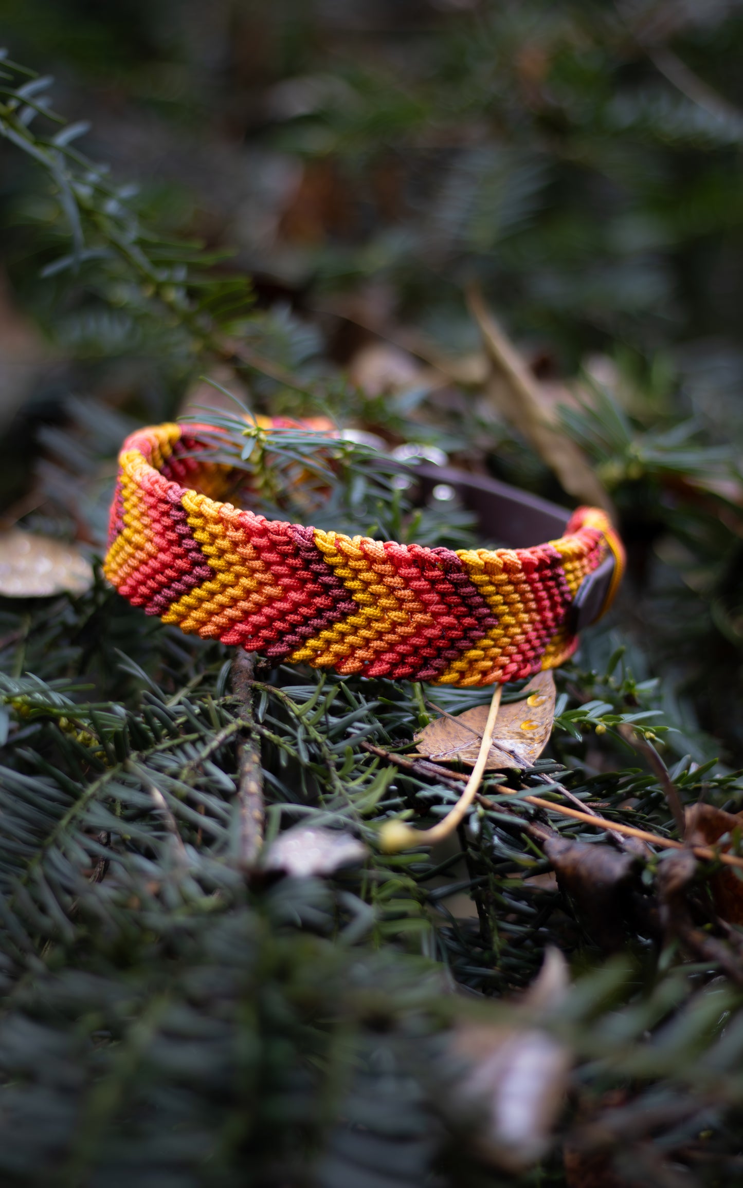 Nastavitelný paracordový obojek 'Alps'