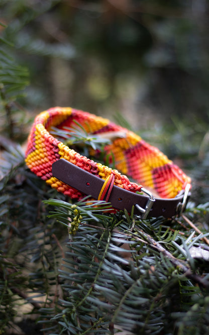 Nastavitelný paracordový obojek 'Alps'