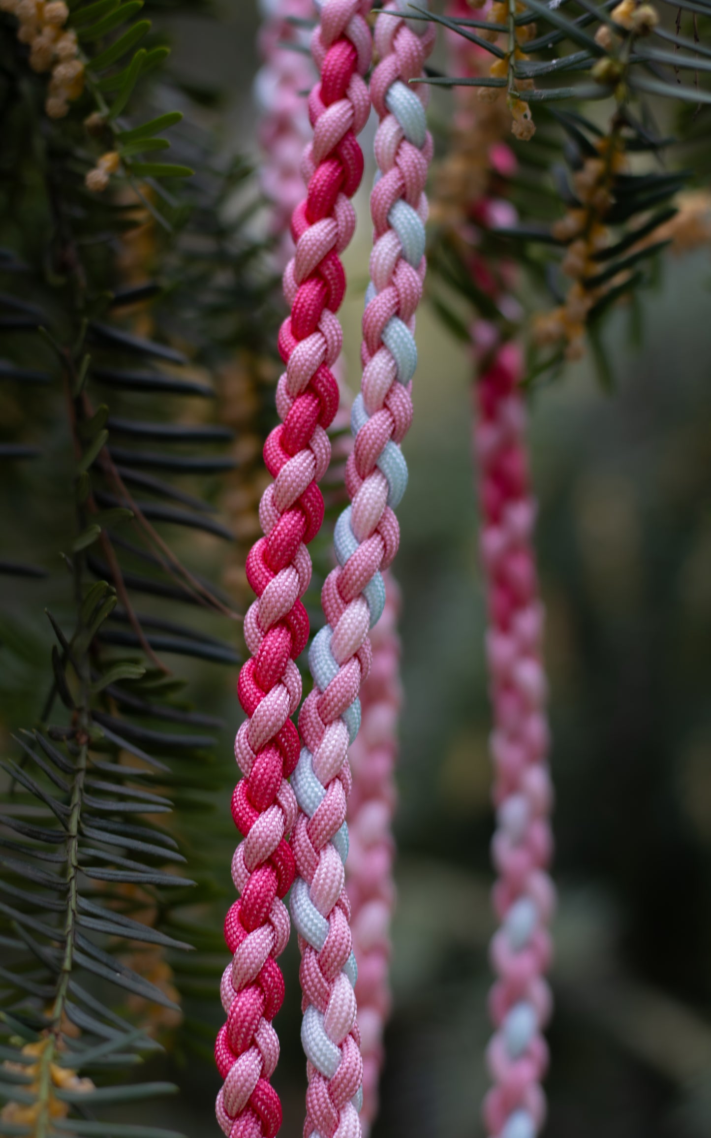 Přepínací paracordové vodítko ve vzoru 'Braids mini' 2m - růžové