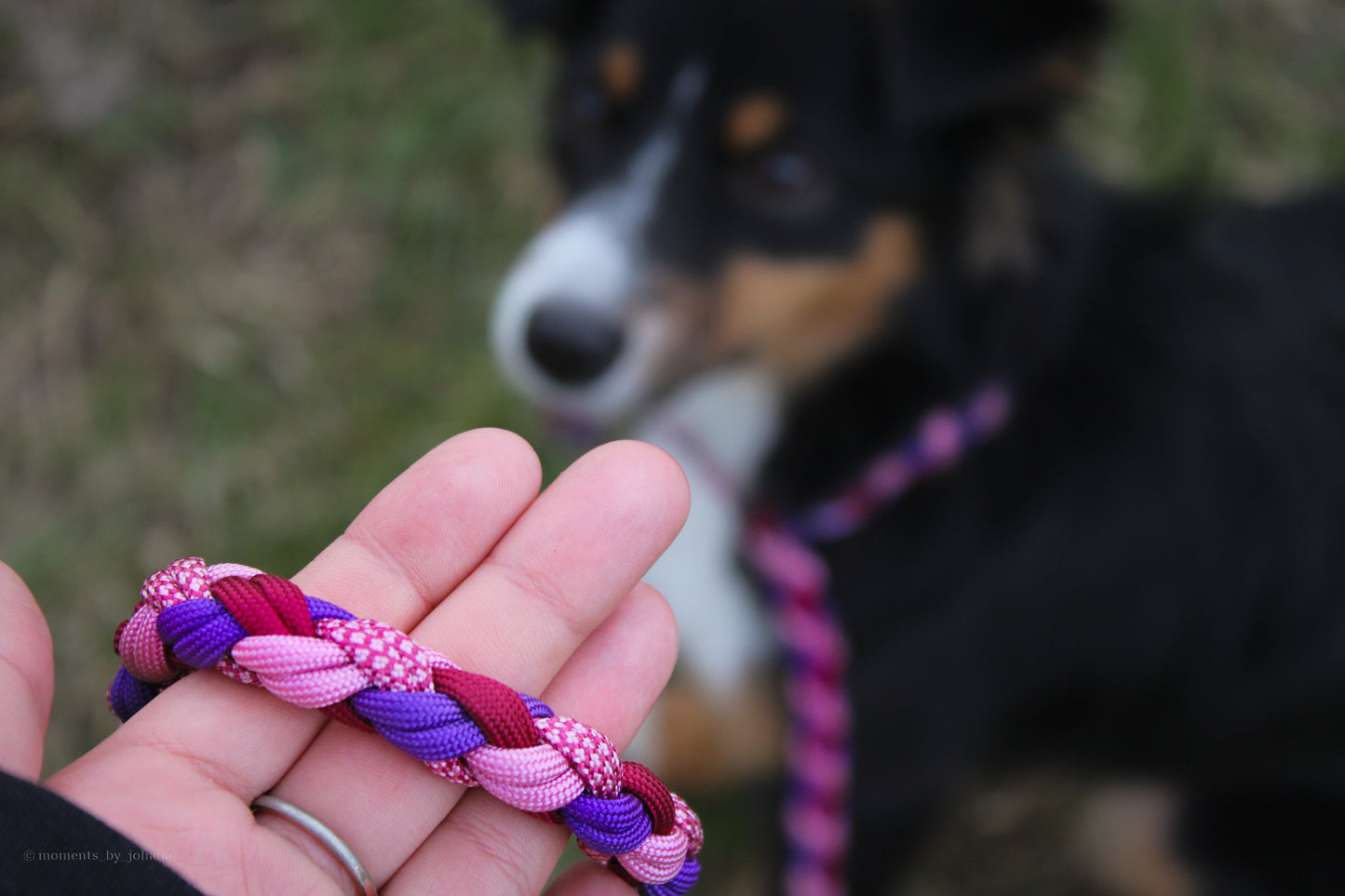Ručně pletené paracordové agility vodítko ve vzoru braids v barvách fialové, růžové a červené