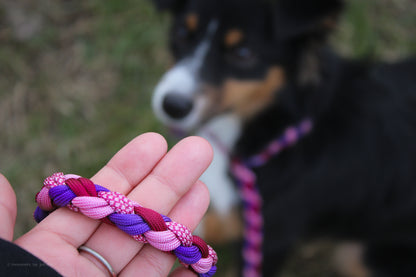 Ručně pletené paracordové agility vodítko ve vzoru braids v barvách fialové, růžové a červené