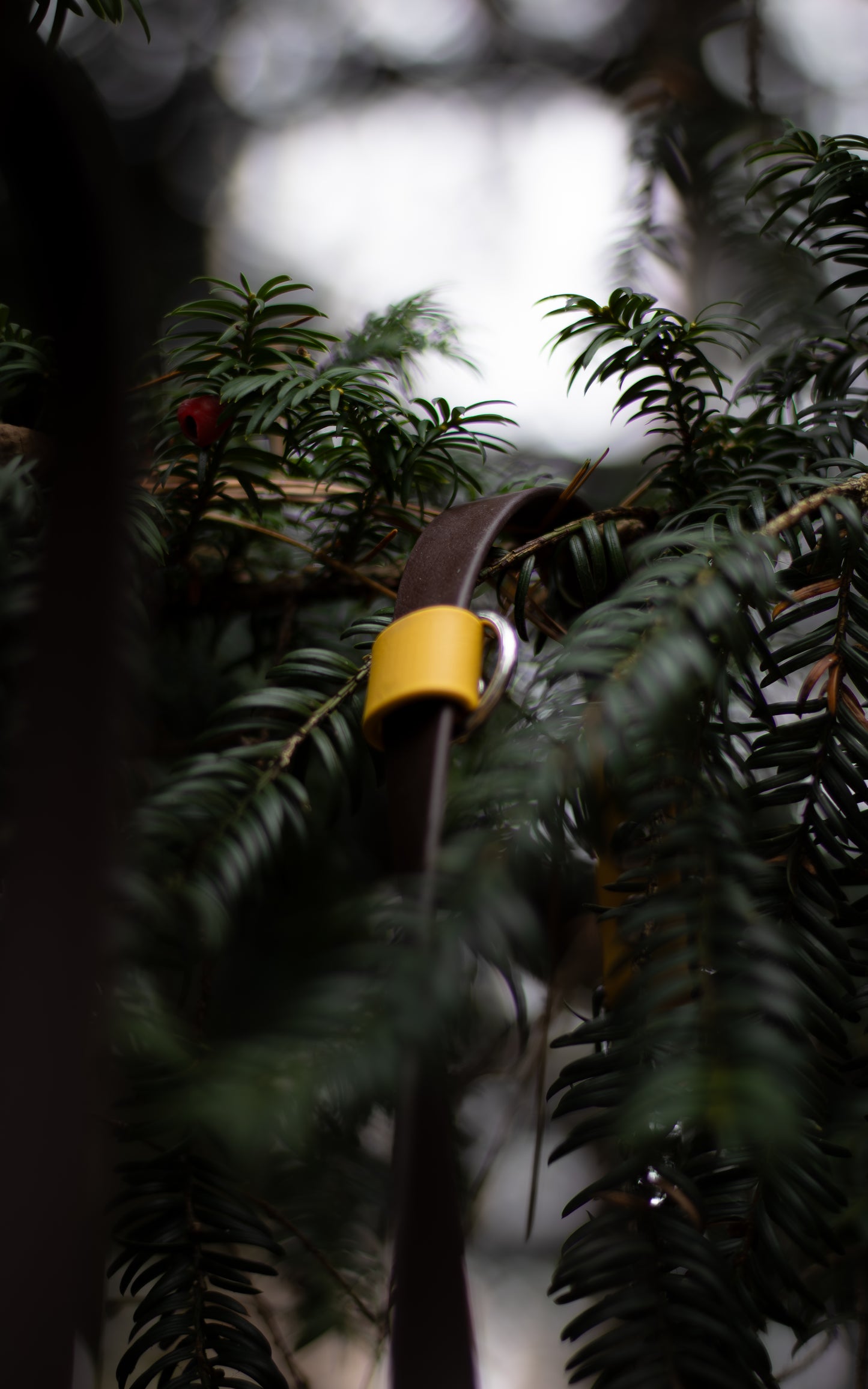 Hnědé BioThane přepínací vodítko s posuvným kroužkem pro jednoduché prodloužení či zkrácení vodítka - detail posuvného kroužku je hořčicově žlutý.