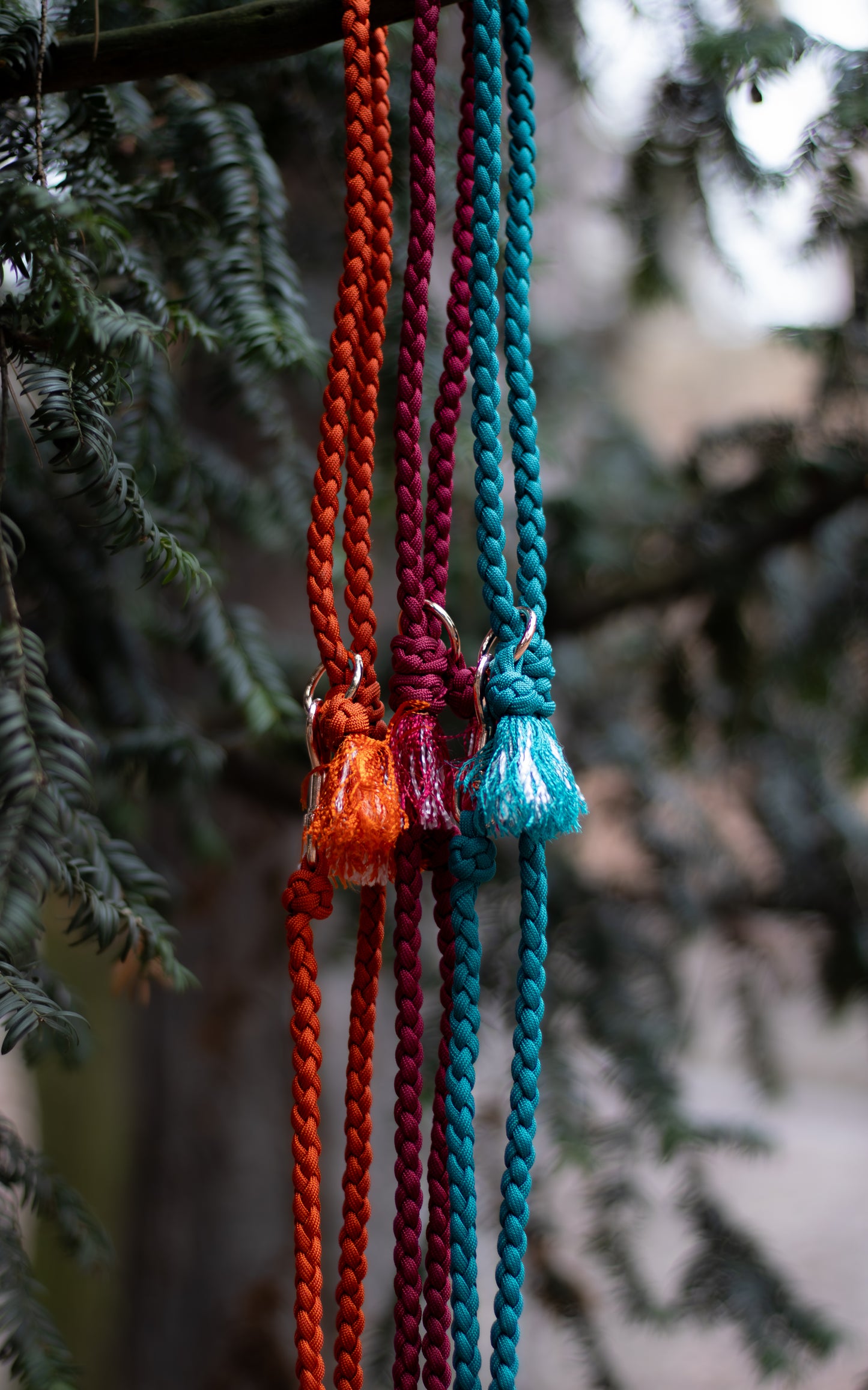 Na fotce jsou 3 paracordová vodítka s ručkou vhodné pro malé psy svou lehkostí a šířkou. Barvy vodítek jsou cihlová, vínová a tmavě tyrkysová. Vodítka jsou opatřeny kroužkem pro připnutí kolem těla a zdobným přívěskem.