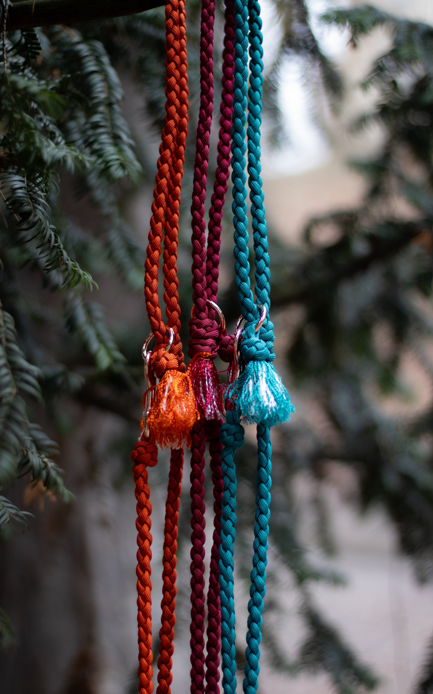 Na fotce jsou 3 paracordová vodítka s ručkou vhodné pro malé psy svou lehkostí a šířkou. Barvy vodítek jsou cihlová, vínová a tmavě tyrkysová. Vodítka jsou opatřeny kroužkem pro připnutí kolem těla a zdobným přívěskem.