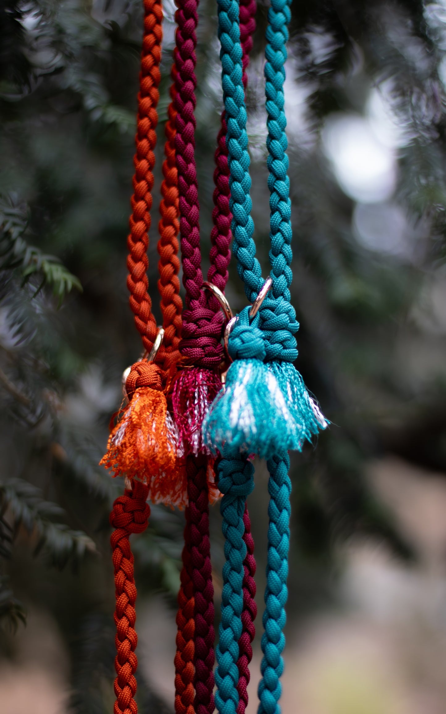 Na fotce jsou 3 paracordová vodítka s ručkou vhodné pro malé psy svou lehkostí a šířkou. Barvy vodítek jsou cihlová, vínová a tmavě tyrkysová. Vodítka jsou opatřeny kroužkem pro připnutí kolem těla a zdobným přívěskem.