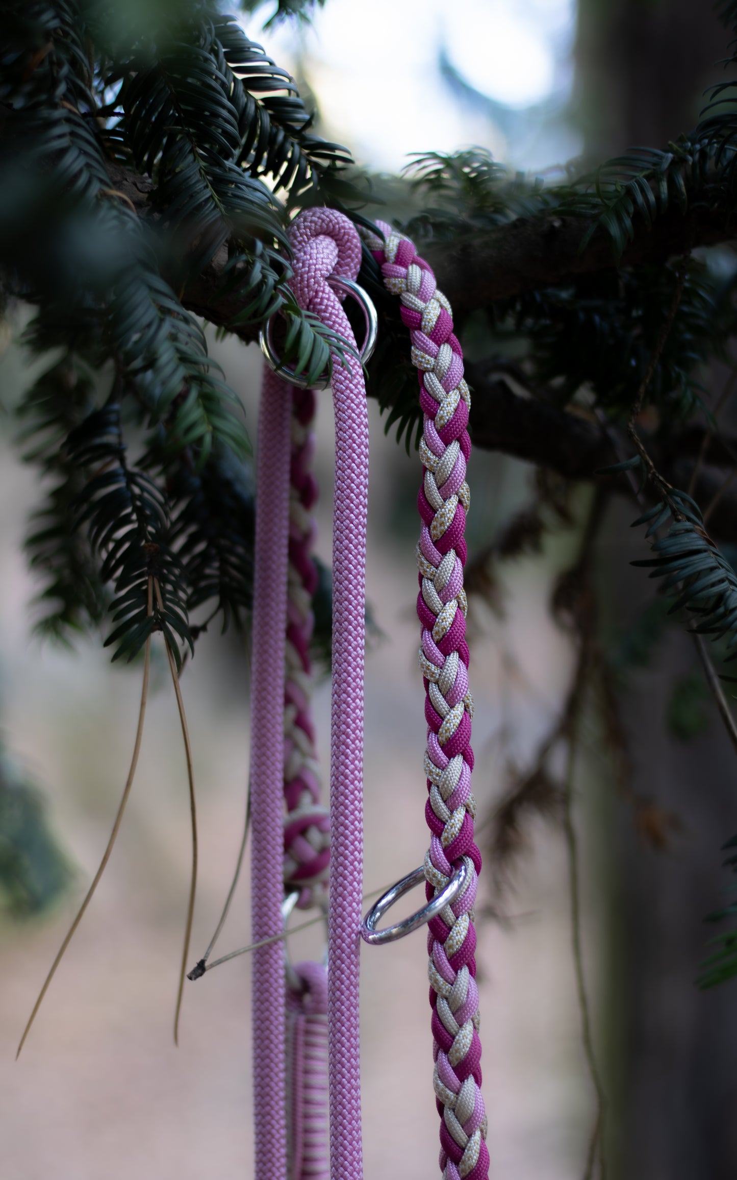 Růžové přepínací vodítko pletené z paracordu v kombinaci s lanem, vhodné na procházky se psem v přírodě i ve městě.