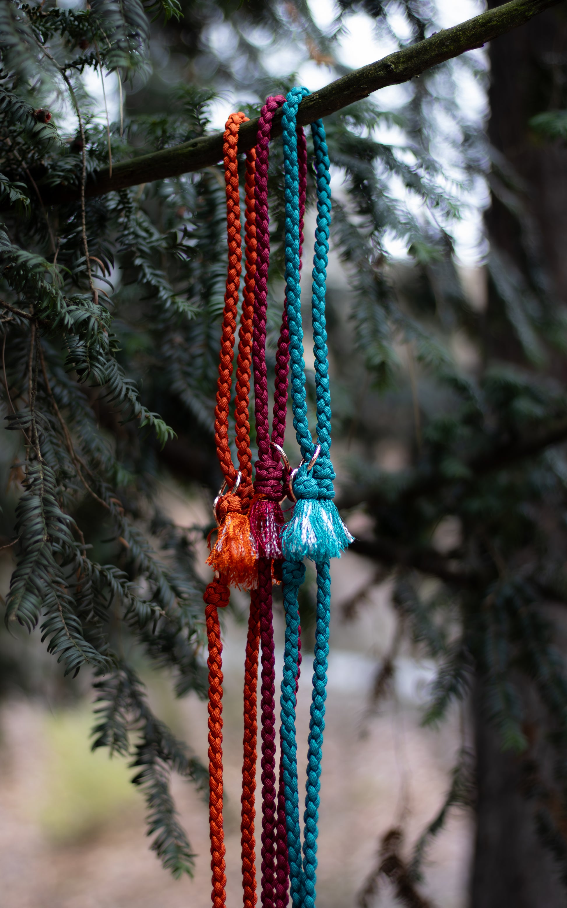 Na fotce jsou 3 paracordová vodítka s ručkou vhodné pro malé psy svou lehkostí a šířkou. Barvy vodítek jsou cihlová, vínová a tmavě tyrkysová. Vodítka jsou opatřeny kroužkem pro připnutí kolem těla a zdobným přívěskem.