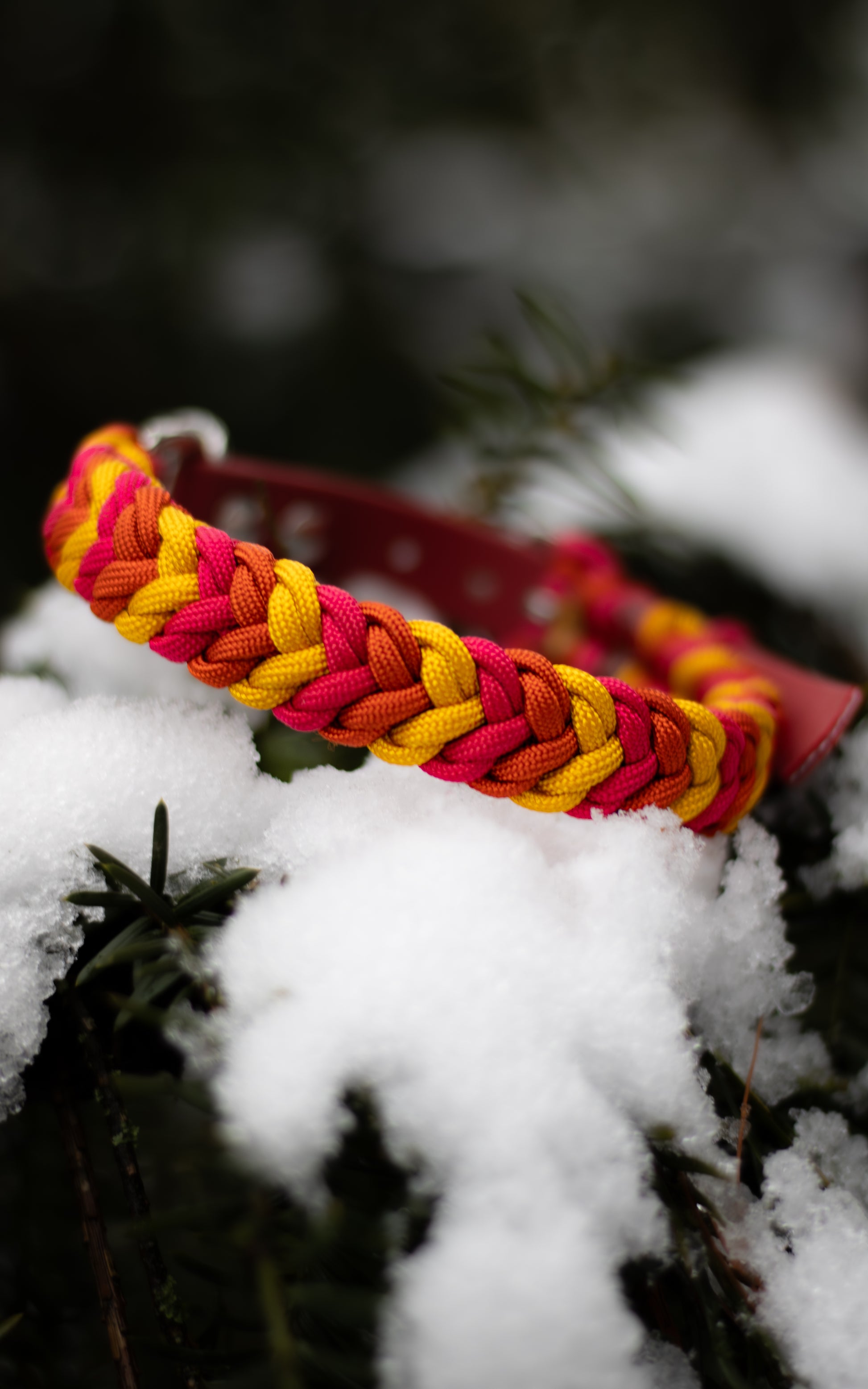 Ručně pletený paracordový obojek pro střední a malé psy v barvách ohně - žlutá, oranžová, červená.