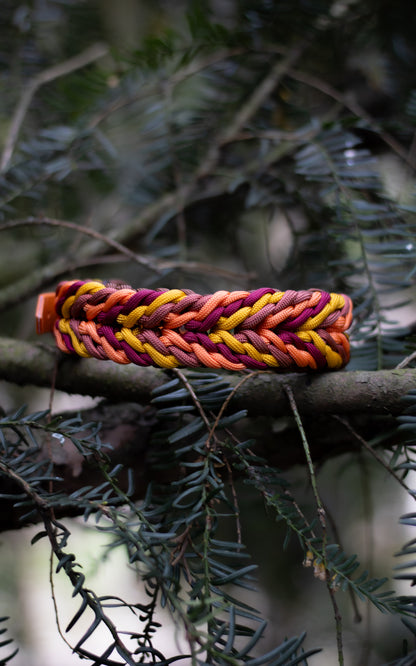 Nastavitelný paracordový obojek 'Autumn 🍁' (39 - 44 cm)