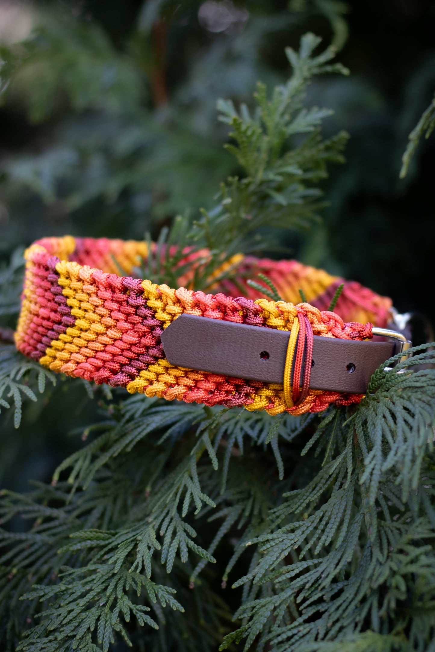 Nastavitelný paracordový obojek 'Alps'