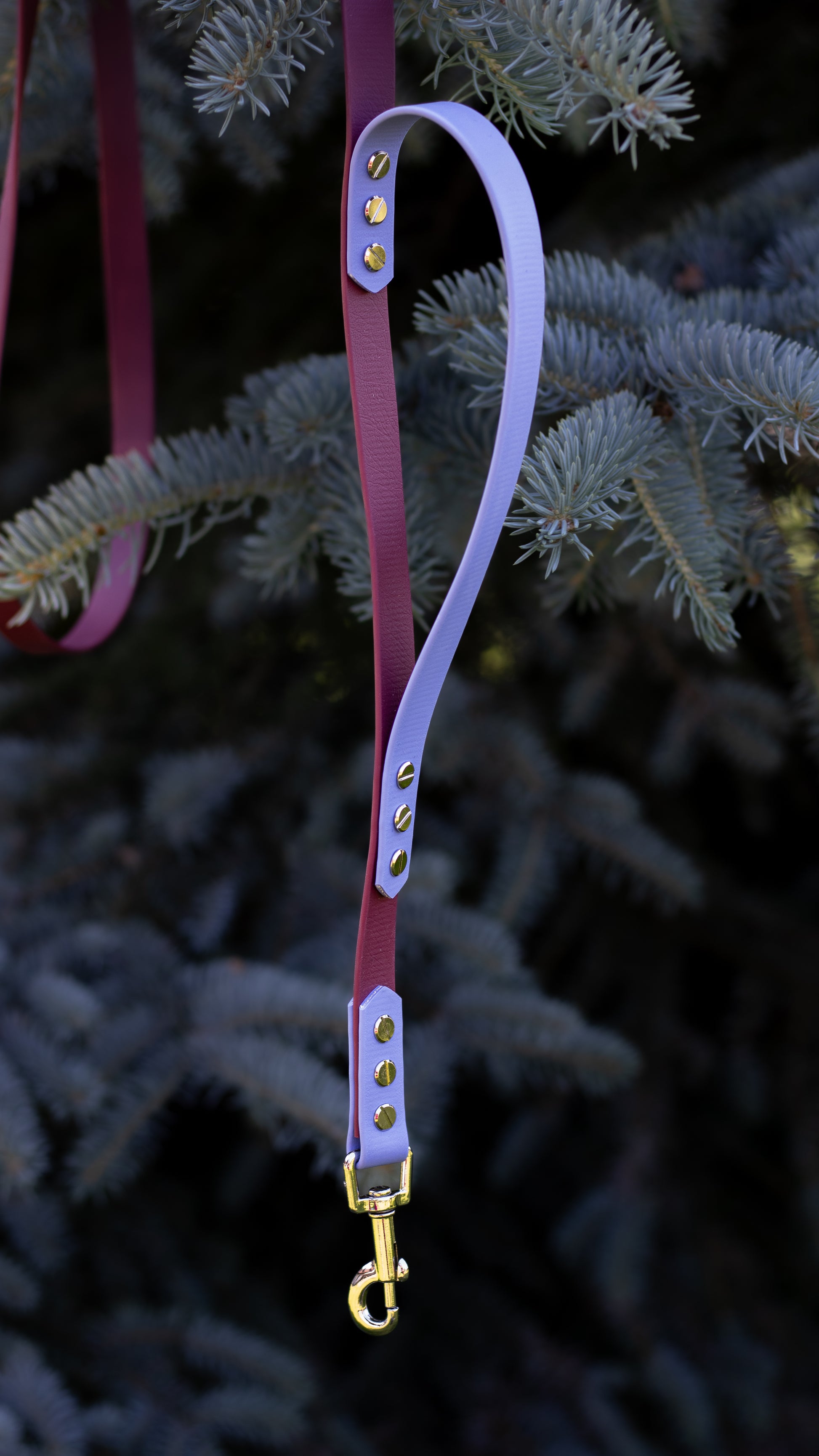 Vínovofialové přepínací vodítko z biothanu na míru, ručně vyrobené vodítko s nastavitelnou délkou a ručkou (traffic handle) pro rychlé chycení psa na krátko, které je vhodné pro malé, střední i velké psy. Na výrobu byl použit voděodolný materiál BioThane, díky kterému je vodítko velmi jednoduché na údržbu.