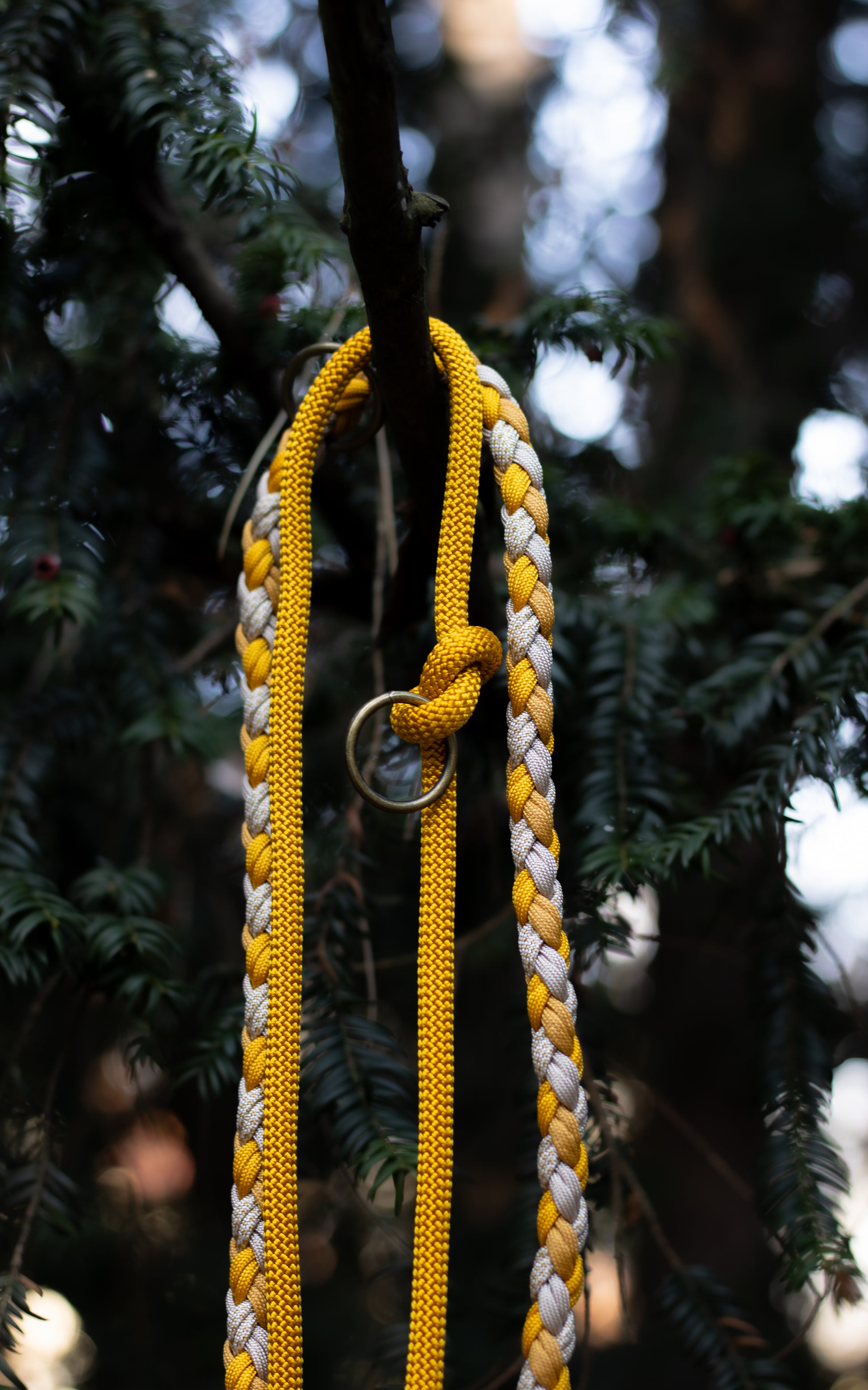 Žluté přepínací vodítko pletené z paracordu v kombinaci s lanem, vhodné na procházky se psem v přírodě i ve městě.