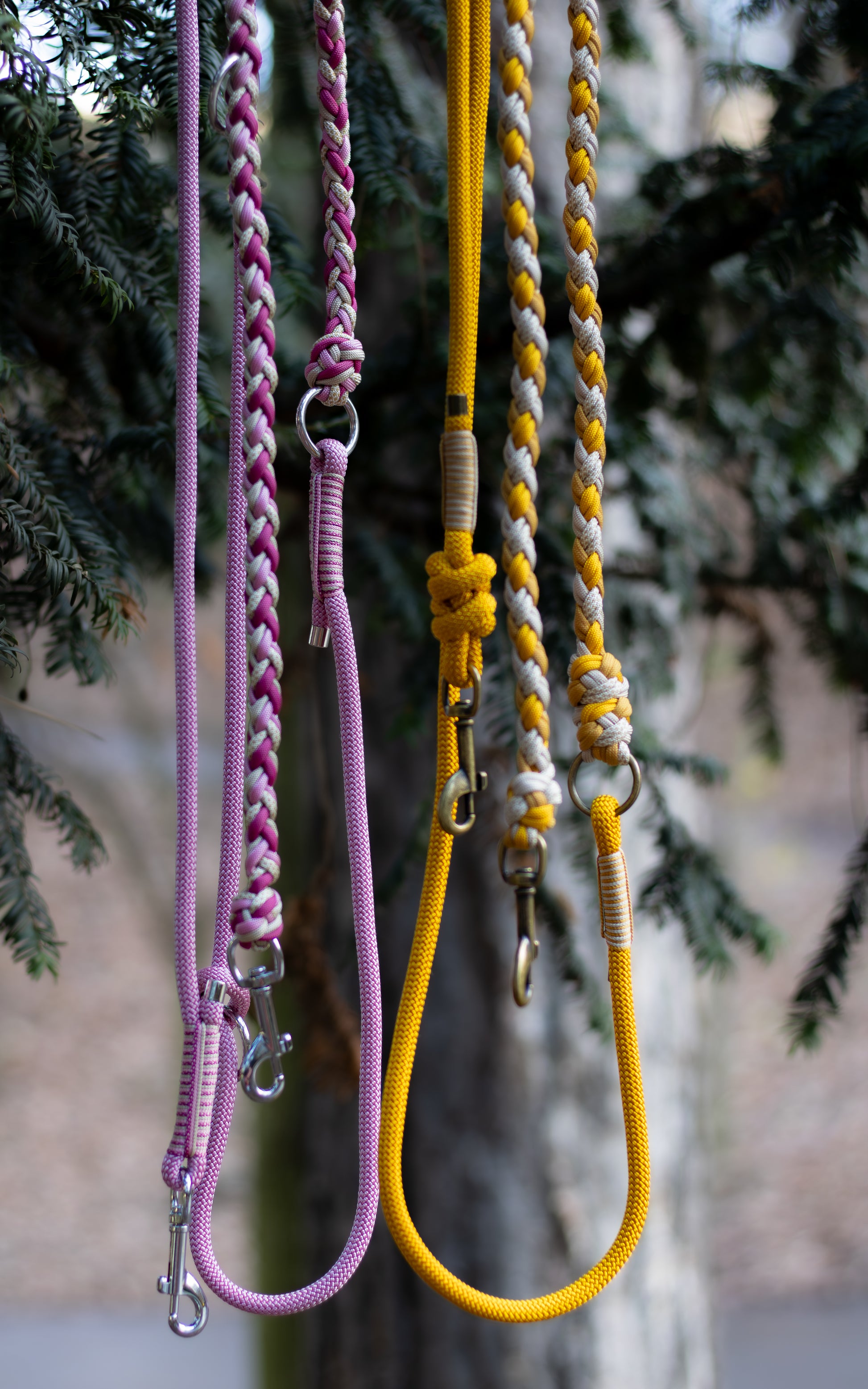 Růžové a žluté přepínací vodítko pletené z paracordu v kombinaci s lanem, vhodné na procházky se psem v přírodě i ve městě.